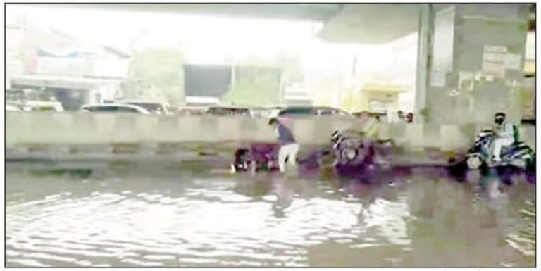 WhatsApp Image 2025-08-29 at 12.53.50_b468bd29