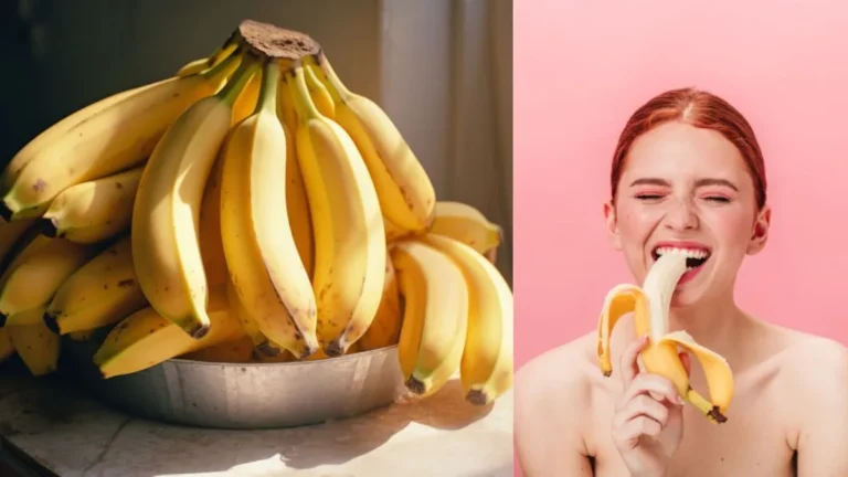 untitled-design-3-1769763105